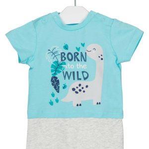 Pagliaccetto Neonato Dinosauri Losan